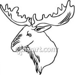 Moose Antlers Drawing at GetDrawings.com | Free for personal use ...
