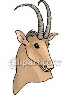 Gazelle With Curved Horns - Royalty Free Clipart Picture