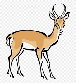 Gazelle Clipart Wild Deer - Addax Clipart - Png Download ...