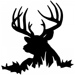 Images For > Mule Deer Silhouette Clip Art | Images--Silhouettes ...