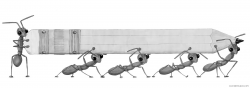 Marching Ants Clipart - ClipartBlack.com