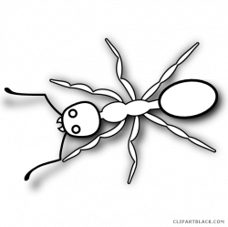 Black and White Ants Clipart - ClipartBlack.com
