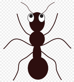 Ant Free content Clip art - Dead Ants Cliparts png download - 1860 ...