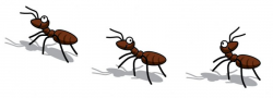 Ants Clipart Icon#3032364