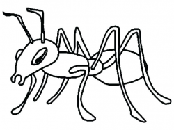 Ant Pictures To Color# 1927498