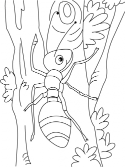 Ants Coloring Pages# 1927782