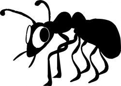 Ant Silhouette at GetDrawings.com | Free for personal use Ant ...