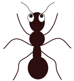 Ants Clipart Sweet