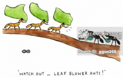 Leaf Cutter Ants Cartoons and Comics - funny pictures from CartoonStock