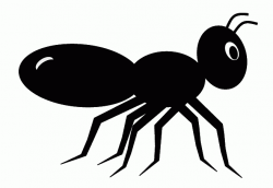 Ant Clipart | Letters Format