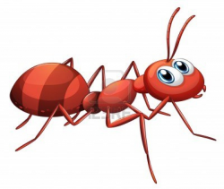 Stylist And Luxury Ants Clipart Top 27 Ant Items DaxuSHequ Com - cilpart