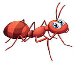 Red Ant Clip Art - Royalty Free - GoGraph