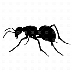 Ant clipart silhouette - Pencil and in color ant clipart silhouette