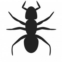 Ants clipart silhouette - Pencil and in color ants clipart silhouette