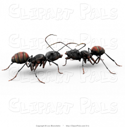 Ants clipart two - Pencil and in color ants clipart two