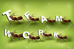 Ants clipart team - Pencil and in color ants clipart team