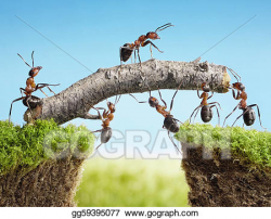 Drawing - Team of ants constructing bridge, teamwork. Clipart ...