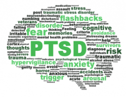 Post Traumatic Stress Disorder | Pulse Biology