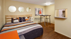 1 Bedroom Apartment Austin Tx | fromgentogen.us