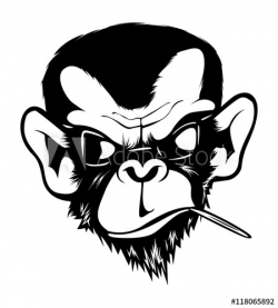 Mad Angry Bad Chimp Ape Monkey Gorila Ink Black White - Buy this ...