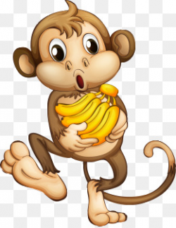 Monkey Clipart, Download Free PNG Format Clipart Images on Pngtree
