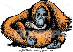 Vector Art - Big orangutan monkey. Clipart Drawing ...