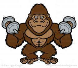 Jungle Gym Gorilla Bodybuilder Cartoon Character Sketches - Coghill ...