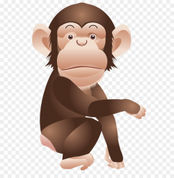 Chimpanzee Monkey Ape Clip art - Monkey PNG Clipart Picture png ...