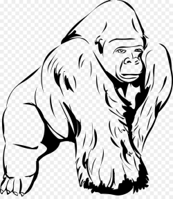 Gorilla Ape Giant panda Clip art - gorilla png download - 1084*1237 ...
