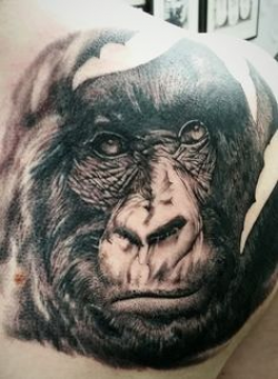 35 best Female Gorilla Tattoo images on Pinterest | Gorilla tattoo ...