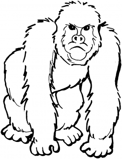 Ape Clipart Black And White - Pencil and in color ape clipart black ...