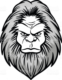 Gorilla Head Drawing at GetDrawings.com | Free for personal use ...