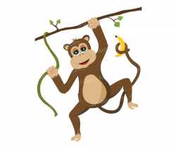 Monkey Clipart Safari Animals Printable Art Commercial Use
