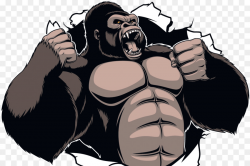 Gorilla King Kong Ape Cartoon - gorilla png download - 1200*800 ...
