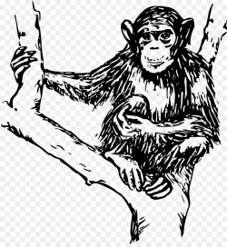 Chimpanzee Ape Gorilla Monkey Clip art - chimpanzee png download ...