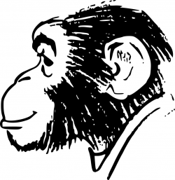 Monkey Head Clipart - Design Droide