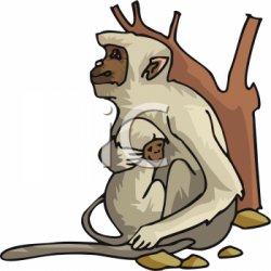 Clipart Picture of Two Monkeys - AnimalClipart.net