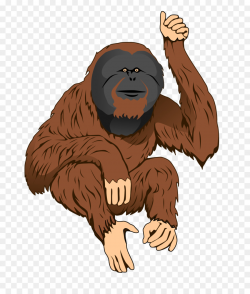 Bornean orangutan Sumatran orangutan Ape Clip art - Cartoon ...