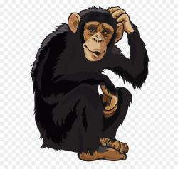 Common chimpanzee Chimpanzee Politics: Power and Sex Among Apes Clip ...