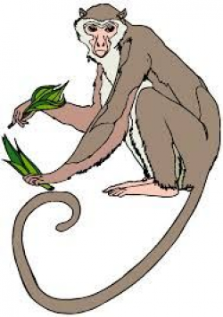 monkeys swinging drawing - Google Search | school jungle/rainforest ...