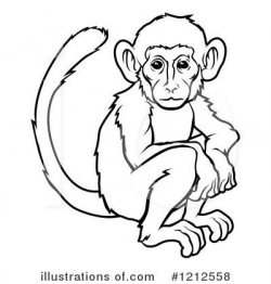 Realistic Monkey Drawing at GetDrawings.com | Free for personal use ...