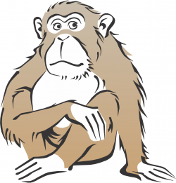 Realistic monkey clipart - Clip Art Library
