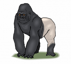 Silverback Gorilla Clip Art | Transparent PNG Download ...