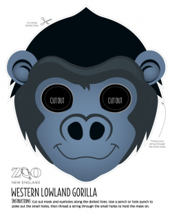 Western Lowland Gorilla Mask | Zoo New England