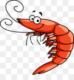 Shrimp PNG and PSD Free Download - Caridea Crab Prawn Shrimp ...