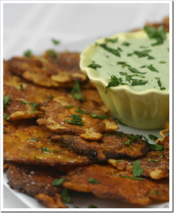 Proceed with Caution: Tostones (fried plantains) with Creamy Garlic ...
