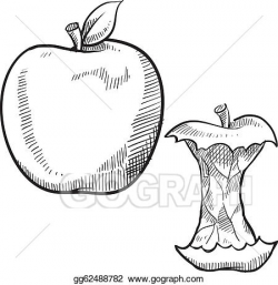 Clip Art Vector - Apple and apple core sketch. Stock EPS gg62488782 ...