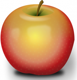 Photorealistic Red Apple Clip Art at Clker.com - vector clip art ...