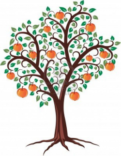 apple tree drawing - Bing Images | Like | Pinterest | Apples ...