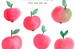 Watercolor Apple / Digital Watercolour | Design Bundles